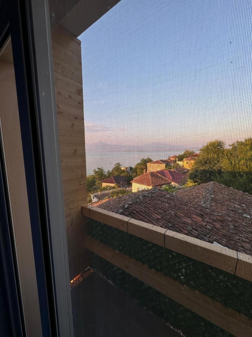 Bujtina E Qilimave *